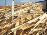 дрова сосновые обрезки с доставкой / Саратов